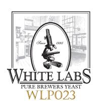 White Labs WLP023 Burton Ale Yeast