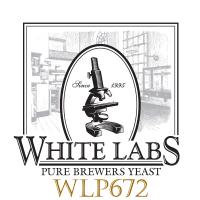 White Labs WLP672 Lactobacillus Brevis