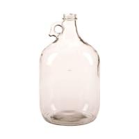 Carboy - One Gallon Clear Glass Jug