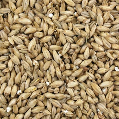 Briess Grain 2 Row Brewers Malt 1 lb for Home Brew Beer Making 