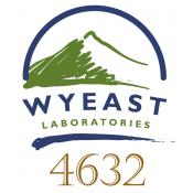 Wyeast 4632 Dry Mead Yeast