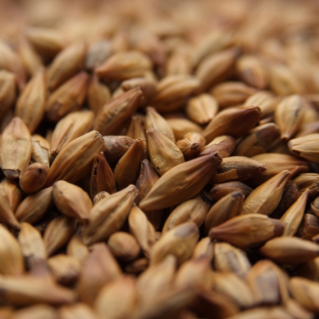 Avangard Malz Premium Dark Munich Malt Michigan Brew Supply Home