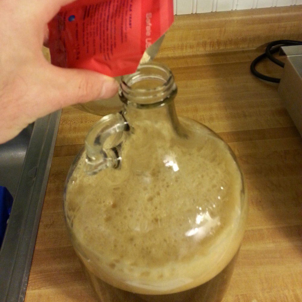 Pitch Yeast