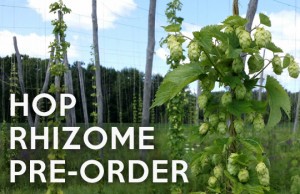 2016 Hop Rhizome Preorders